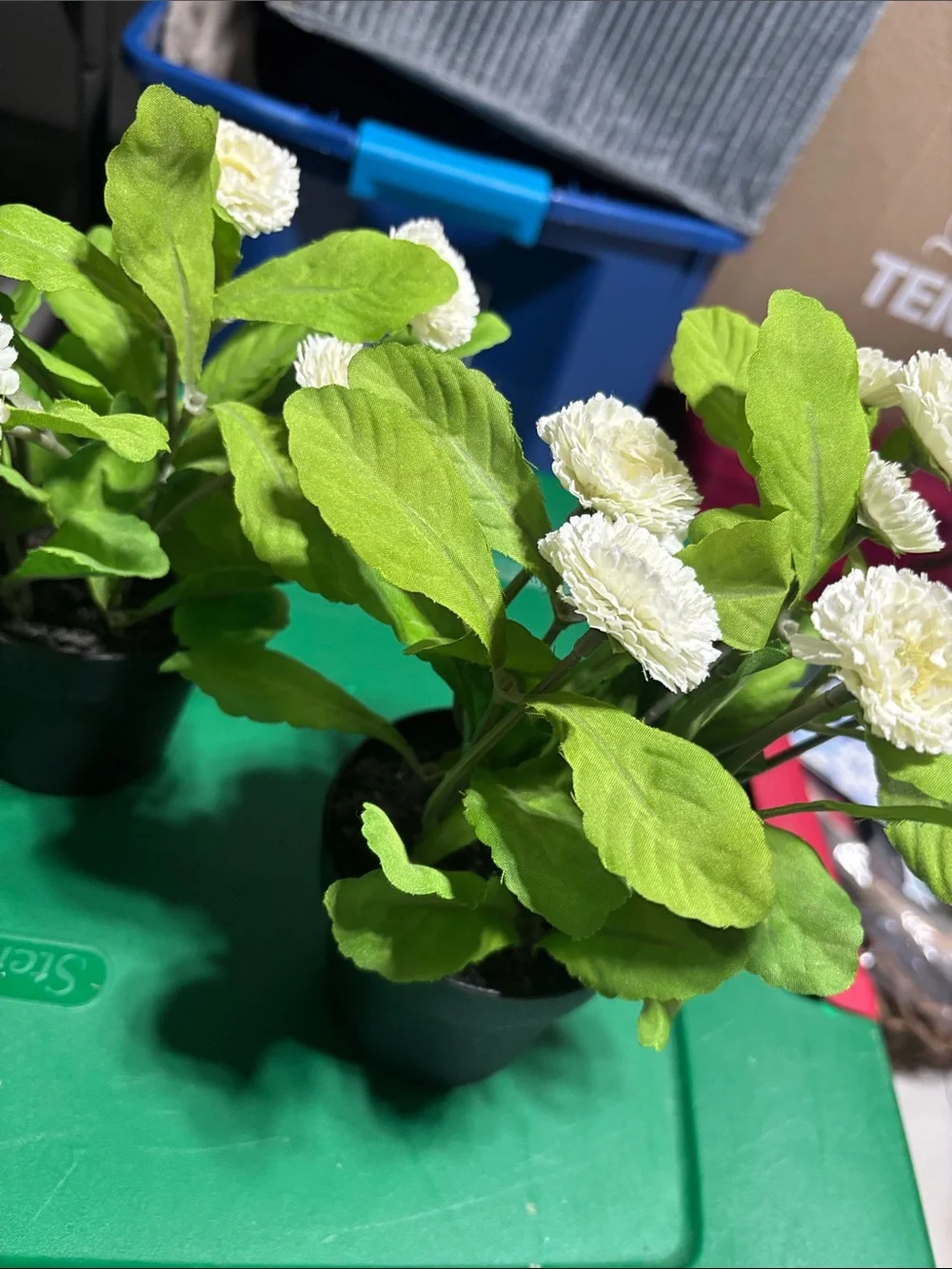 Faux Flowers